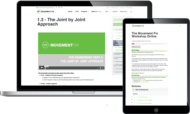 Ryan DeBell - The Movement Fix Workshop Online