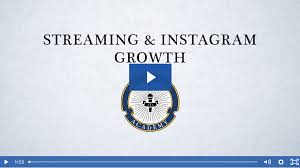 Ari Herstand and Lucidious - Streaming & Instagram Growth