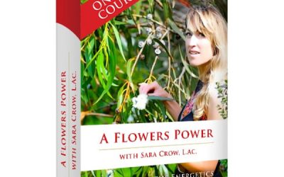 A Flower’s Energy: A Course In Flower Essences