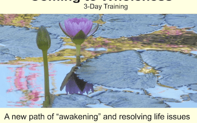 Connirae Andreas – 3-day Wholeness Training