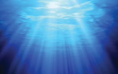 Craig Hamilton – Guided Meditation – Awakening To Your True Nature