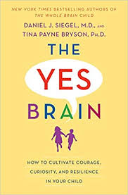 Daniel J. Siegel & Tina Payne Bryson – The Yes Brain Download