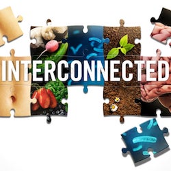 Heal-From-Within-Interconnected1
