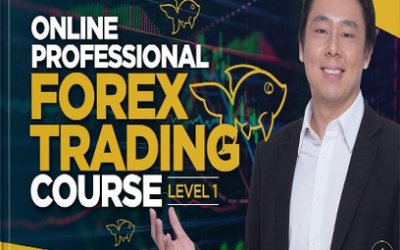 Jarratt Davis – Forex Trading Course