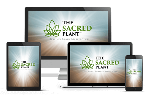 John-Malanca-The-Sacred-Plant-Healing-Brain-Masterclass-1