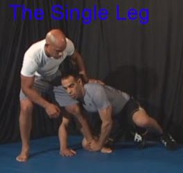 Ken Primola – The Single Leg – Volume 1