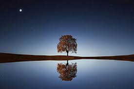 Kenji Kumara – Clear and perfect channel – Divine freedom