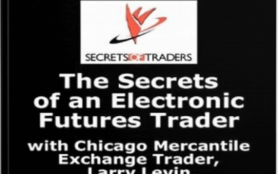 Larry Levin – Secrets of An Electronic Futures Trader