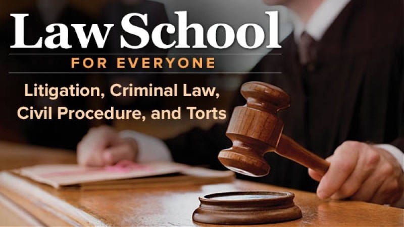 Law School For Everyone Litigation, Criminal Law, Civil Procedure, And ...