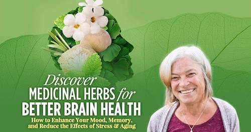 Mary-Bove-Medicinal-Herbs-for-Better-Brain-Health-2