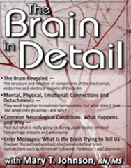 Mary T. Johnson – The Brain in Detail Download