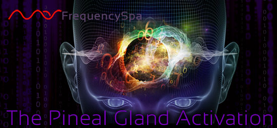 Mas-Sajady-Pineal-Gland-Activation-1