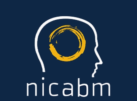 NICABM – Expert Ways to Work with Anxiety Download