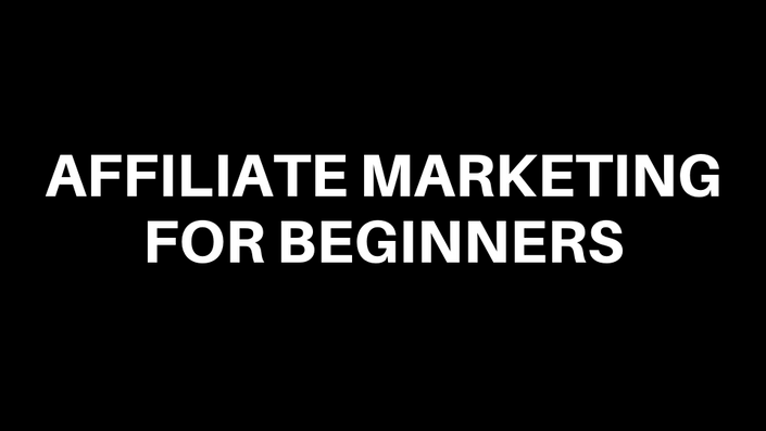 Paolo-Beringuel-Affiliate-Marketing-for-Beginners-1