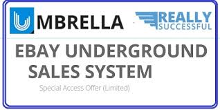 Roger and Barry – eBay Underground Sales (eBus)