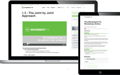 Ryan DeBell – The Movement Fix Workshop Online