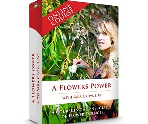 Sara Crow – A Flowers Power – A Course In The Energetics Of Flower Essences