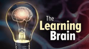 TTC - The Learning Brain