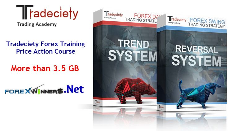 Tradeciety-Forex-Training-Price-Action-Course-1