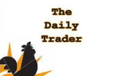 Walter Peters – FXjake Daily Trader Program