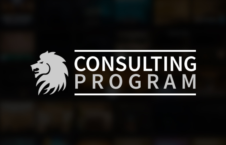 consulting-program