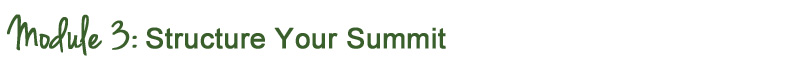 telesummit training module 3