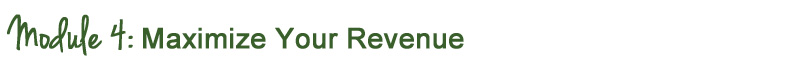 telesummit training module 4