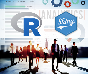DS4B 102-R – Shiny Web Applications (Intermediate)