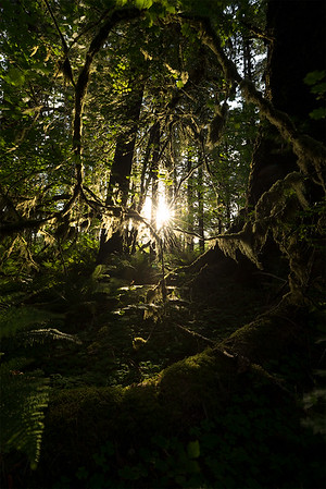 Eric Bennett – “Circle Of Life” From Start To Finish Eric Bennett – “Circle Of Life” From Start To Finish