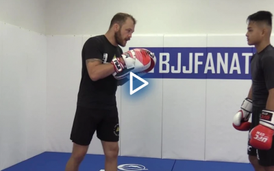 Randy Steinke – Attacks – Counters and Feints for MMA