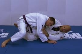 Xande Ribeiro – Diamond Concept of Defense