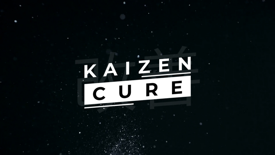 Iman Gadzhi – Kaizen Cure (Premium Student Discount)