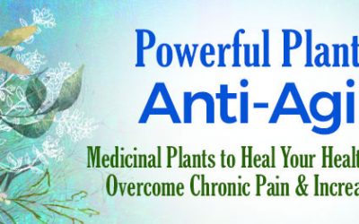 K.P. Khalsa – Powerful Plants for Anti-Aging