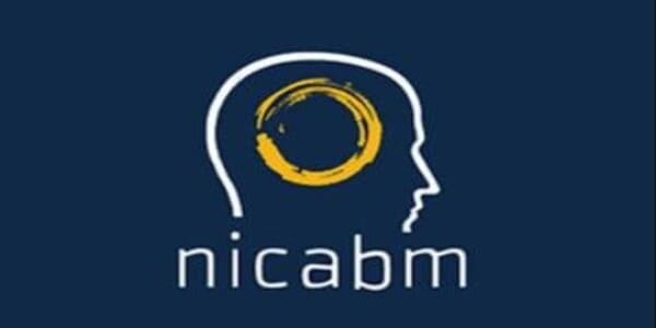 NICABM - Brain Science 2011