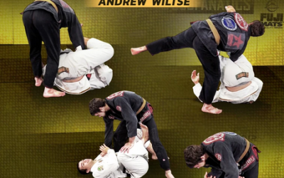 Andrew Wiltse – Stopping The Buzzsaw