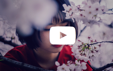 Aaron Nace – How to Master LUTs for Photo and Video