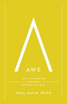 Paul David Tripp – Awe Why It Matters for Everything We Think, Say, and Do