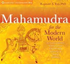 Reginald A. Ray - Mahamudra for the Modern World