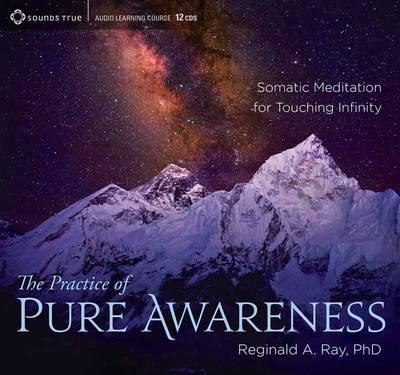Reginald A. Ray - The Practice of Pure Awareness