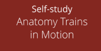 Art Of Motion – Anatomy Trains in Motion (ATiM)