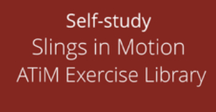 Art Of Motion – Slings in Motion – ATiM Exercise Library