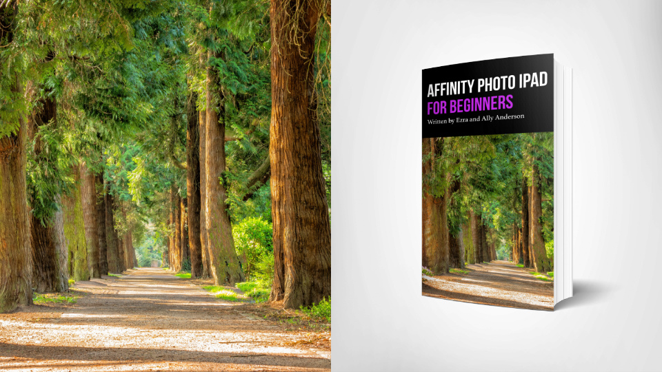 Ezra Anderson – Affinity Photo for iPad Beginner Course