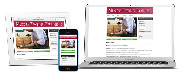 Dr. Michael McCall - Muscle Testing Training Videos & 100 Hour Course ...