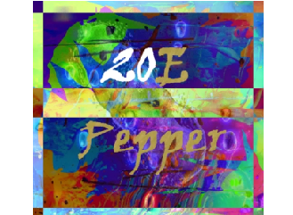 Sapien medicine - 20E Pepper
