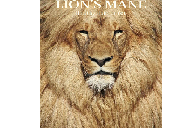 Primal Thrive – Lion’s Mane, Healthy Hair for You