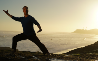 lee Holden – The Five Elements Qigong Online Program