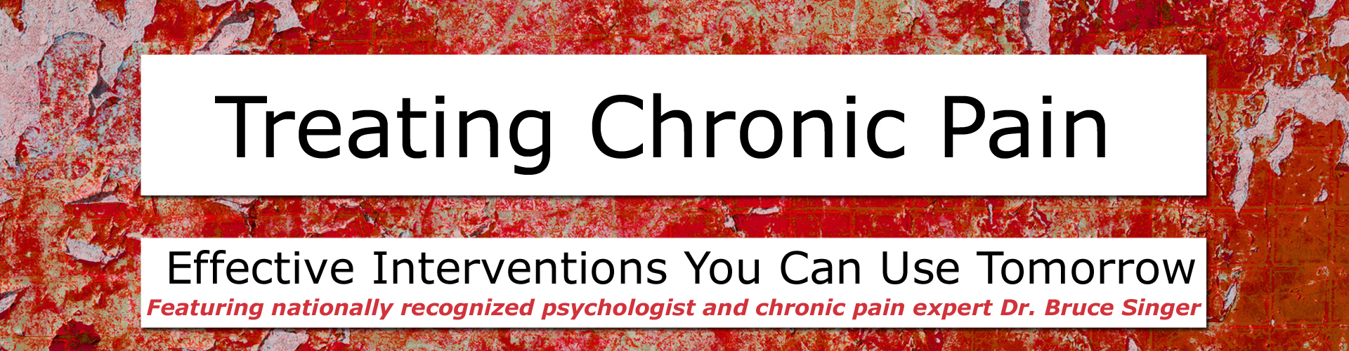 Bruce Singer – Treating Chronic Pain: Effective interventions you can use tomorrow