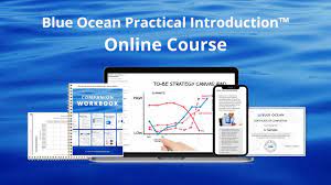 Catherine Vassant, Business Coach – Blue Ocean Practical Introduction Online Course