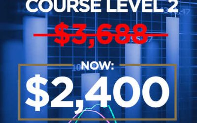 Adam Khoo – Forex Trading Course Level 2 – Pip Netter