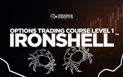 Adam Khoo – Professional Options Trading Course – Options Ironshell